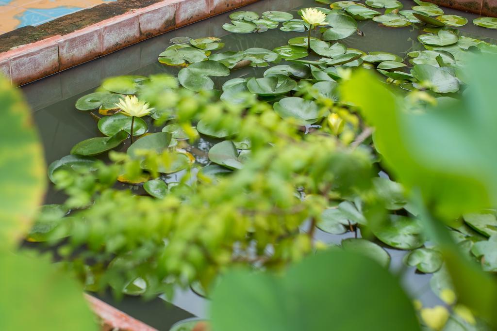 Baan Are Gong Riverside Homestay Phra Nakhon Si Ayutthaya Ngoại thất bức ảnh